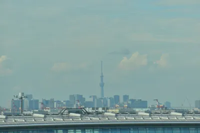 DSC_4058 (Large).JPG